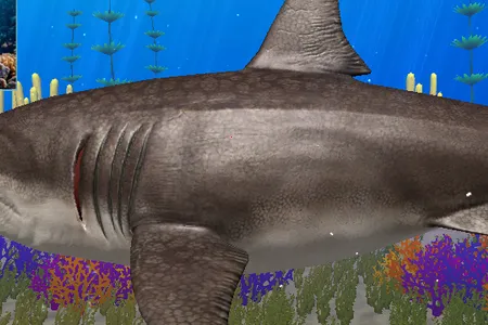 �޳���ģ����2026�ٷ����°汾