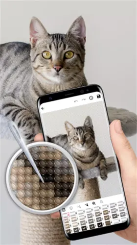 ����ʮ����v0.9.6 �ٷ�����