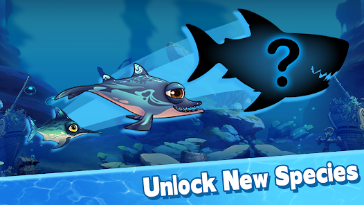 �����С�㾭�������v1.0 �ֻ���