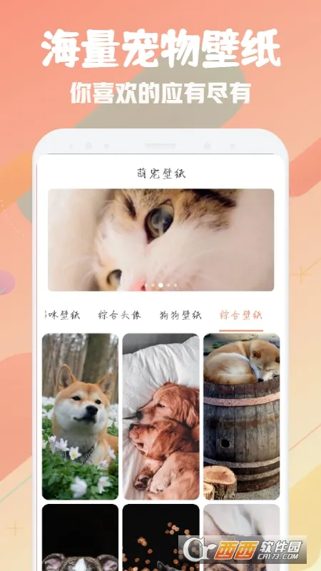 �ȳ跭���������ֻ���v1.1 �ٷ�����