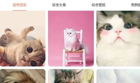 �ȳ跭���������ֻ���