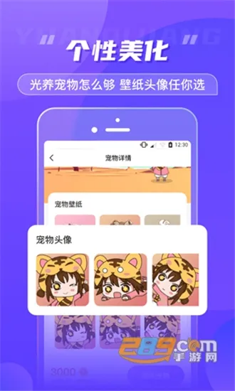 Ԫ�����������