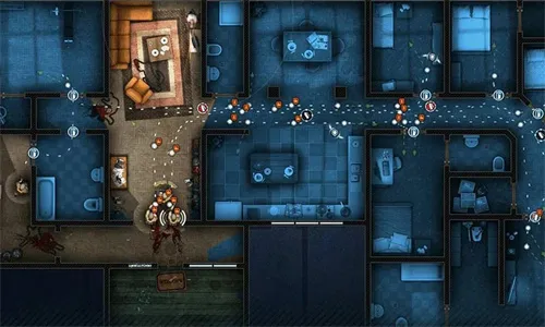 ���Ŷ���2026���°汾v1.1.24 �ֻ���