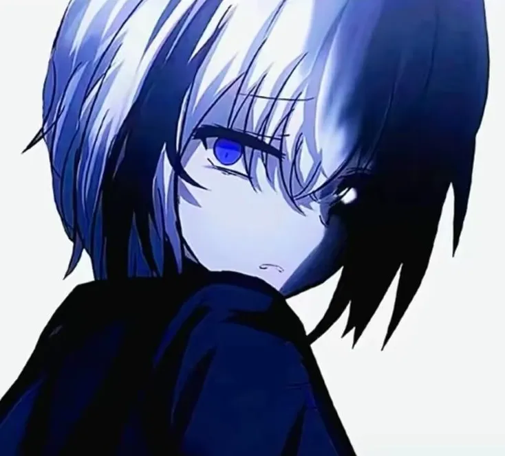 ����������2026���°汾v10 �ٷ�����