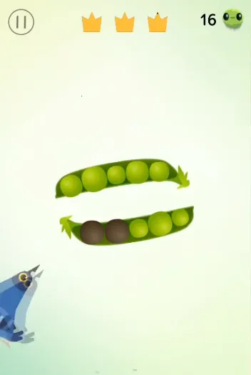 ���ĸ���