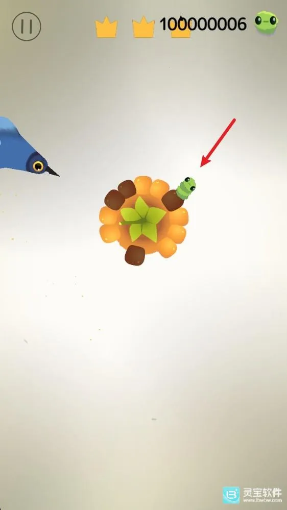 ���ĸ���