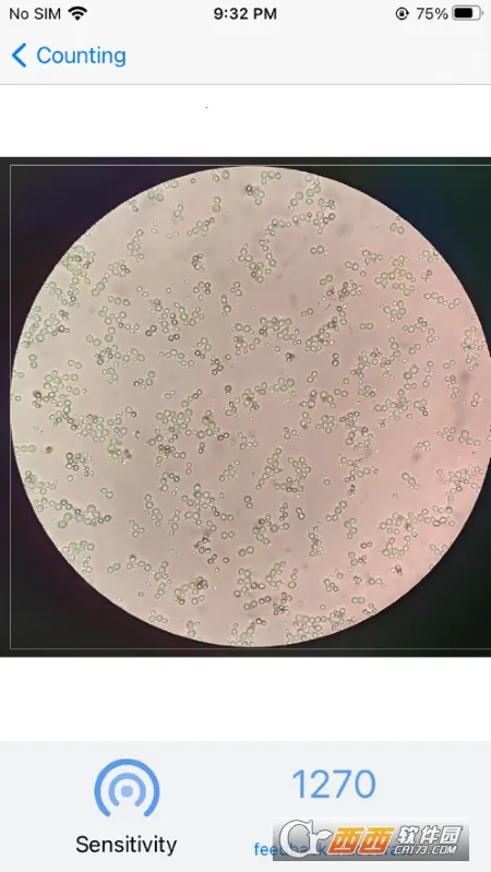 �������2026�ٷ����°汾