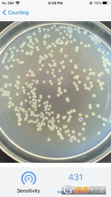 �������2026�ٷ����°汾v2.5.8 ��׿��