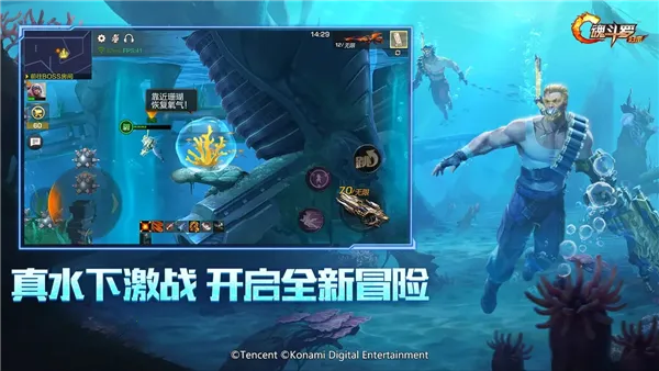 �궷�޹������ȷ�v1.79.131.6595 ��Ѱ�