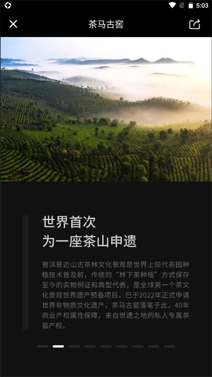 �����Ž�v2.1.1 �ֻ���