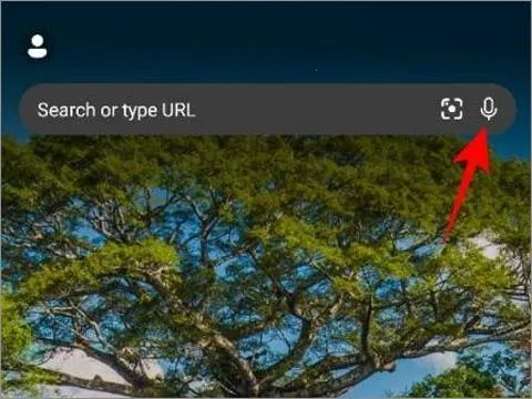 ��Ӧbing��׿���ֻ���