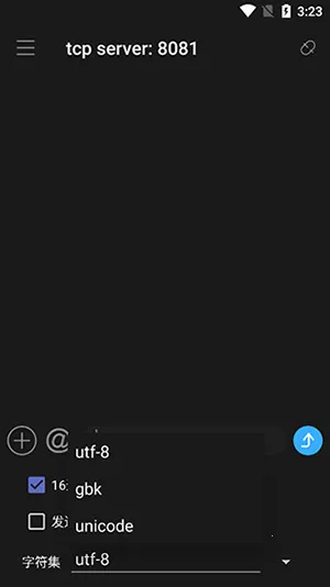 NetAssist网络调试