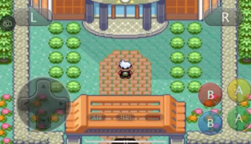 �ڴ������������������ֻ���