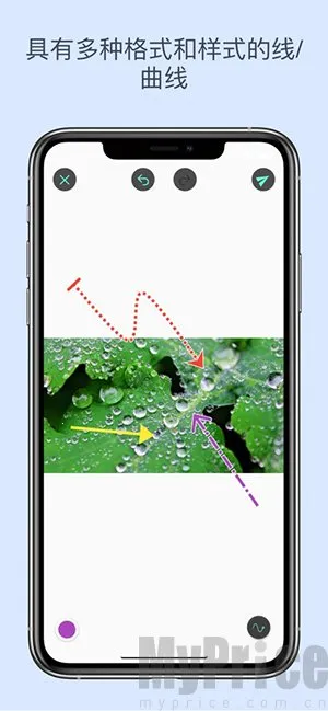 ��ע��ʦ����