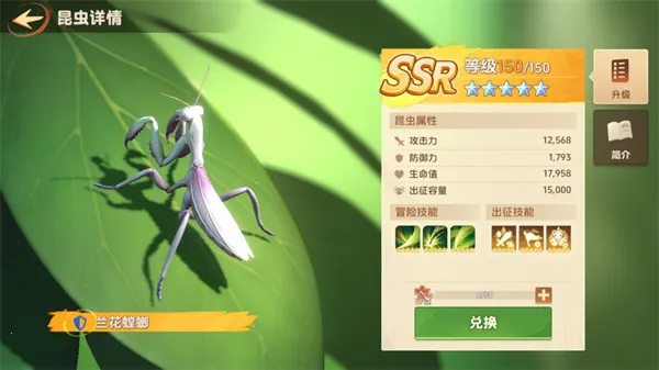 СС�Ҵ�������