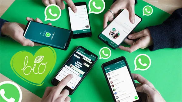 whatsapp最新手机版 whatsapp最新手机版