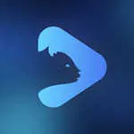 ������Ƶ2026���°汾v1.11 �ٷ�����