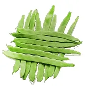 С�˶������ֻ���v4.1 ��׿��