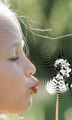 ��������ģ��2026���°汾v0.981 ��׿��