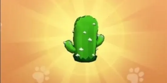 ��Ҫ��װ�����ò˵�