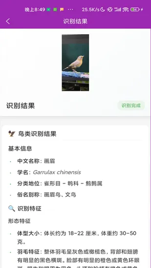 ʶ��2026���°汾v1.1.0 ��׿��