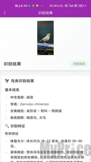 ʶ��2026���°汾