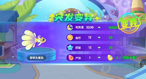 �����������ڹ�