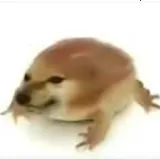 �ҵĵ������ư�(����ƽ̨)v1.0 ��׿�� 