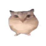 �ͰͲ�һ�����ֻ���v1.0 �ٷ�����