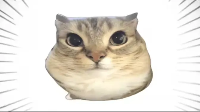 �ͰͲ�һ�����ֻ���v1.0 �ٷ�����