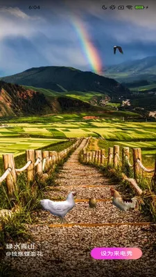 ��Ƥ��(������Ի�����)v2.4.2.2 �ֻ���