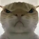 �������ж����󹤾߰�׿���ֻ���