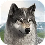 �������������ֻ���v1.0.25 �ٷ����� 