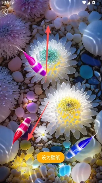 ��������ֽ2026�ٷ����°汾