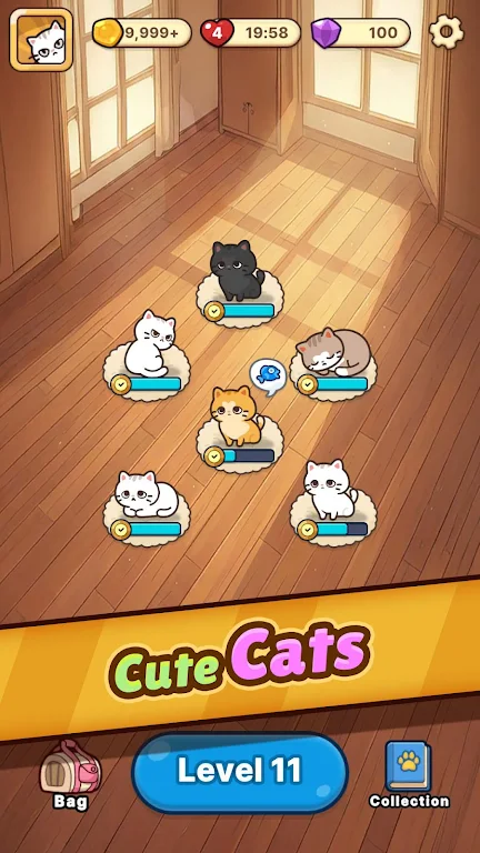 è���Ԯ���������հ�׿���ֻ���v1.0.1 �ֻ���