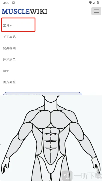 Muscle Wiki2026���°汾
