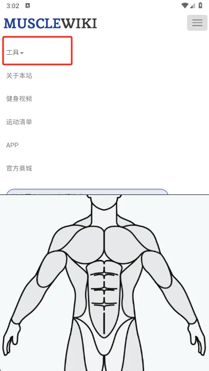 Muscle Wiki2026���°汾v3.0.9 ��Ѱ�