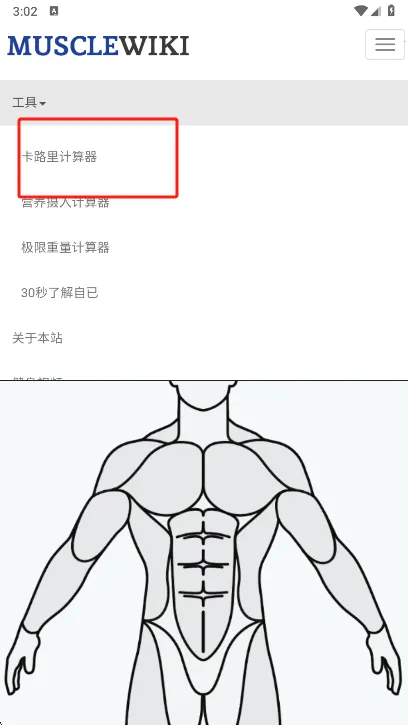 Muscle Wiki2026���°汾v3.0.9 ��Ѱ�