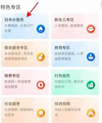 岳办岳好安卓版手机版