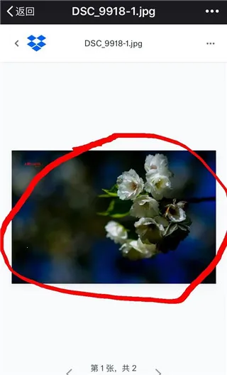 dropbox(�ƴ洢����)