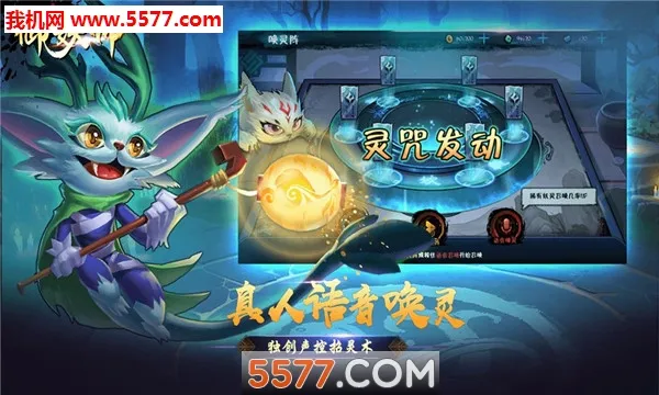 ����ʦ(�������ս������)v1.0 �ֻ���