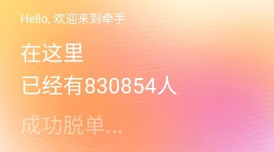 ǣ��(������������)