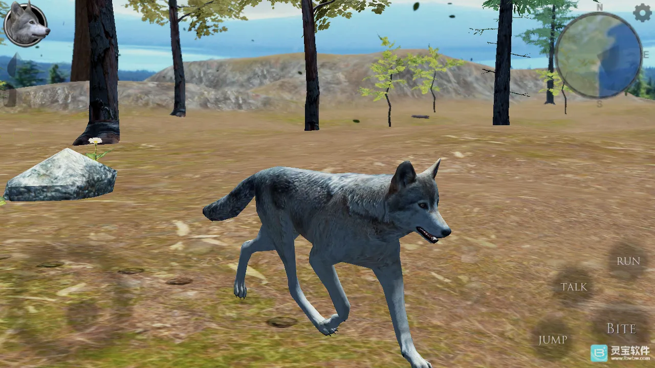 ��Ⱥģ���������ֻ���