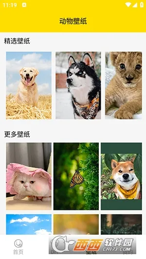 ���ӱ����(�������������)v1.5 �ֻ���