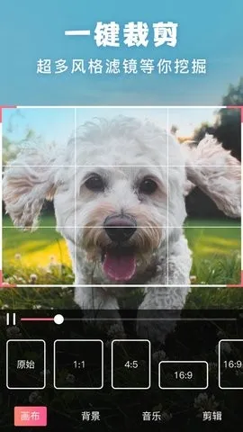 ����picsart��Ƭ�༭(��Ƭ�༭����)v19.8.63 �ٷ�����