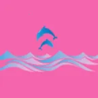 �涯���2026�ٷ����°汾v1.0.0 �ֻ���