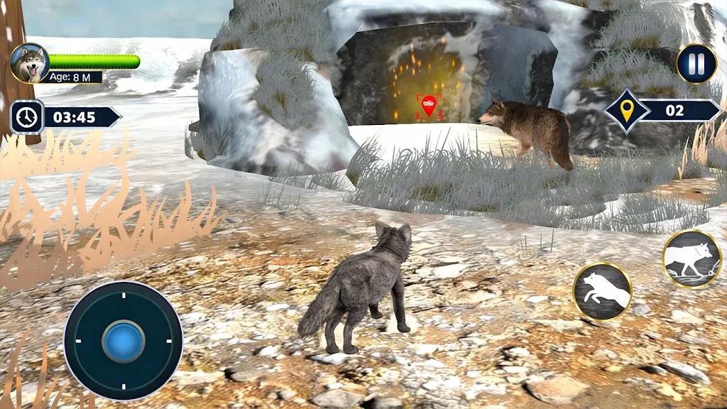 ��ģ���� 3D��׿���ֻ���v1.0.6 �ٷ�����