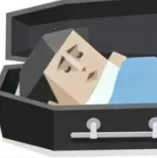 SBTI���������ֻ���v1.1.1 ��׿�� 