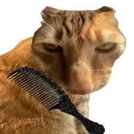 ��è��ë��׿���ֻ���v1.0 �ֻ���