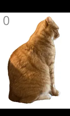 ��è��ë��׿���ֻ���v1.0 �ֻ���